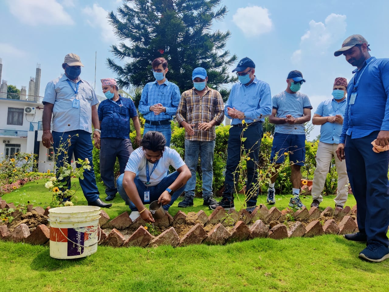 Tree Plantation (2)