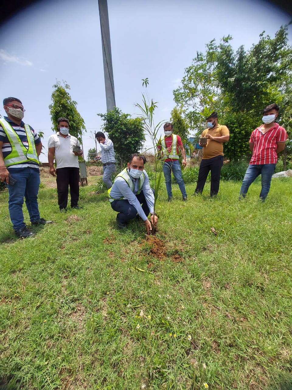 Tree Plantation at Pristine Mega Logistics Ludhiana-min