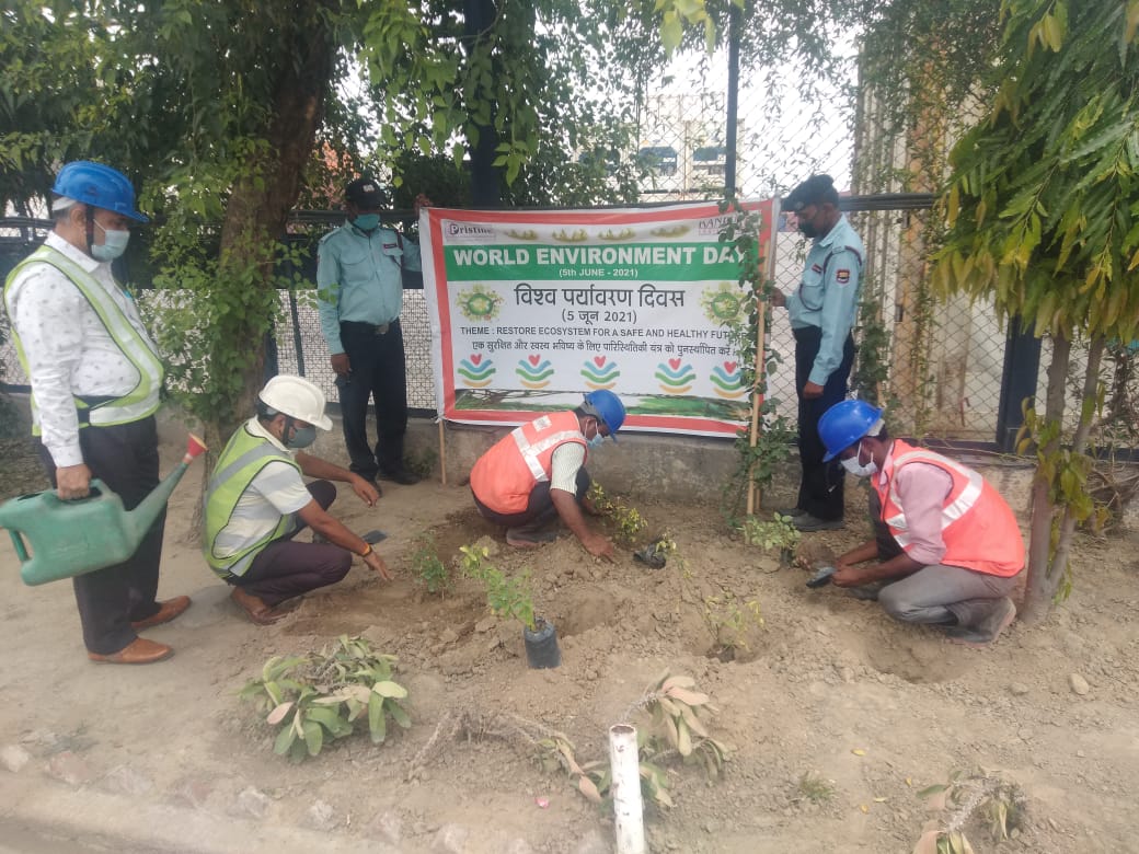 World Environment Day Celebration at Kanpur Logistics