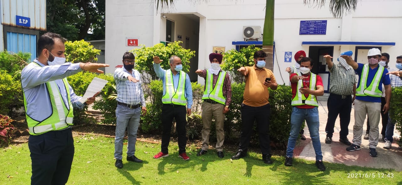 World Environment Day Celebration at Pristine Mega Logistics Ludhiana  (1)