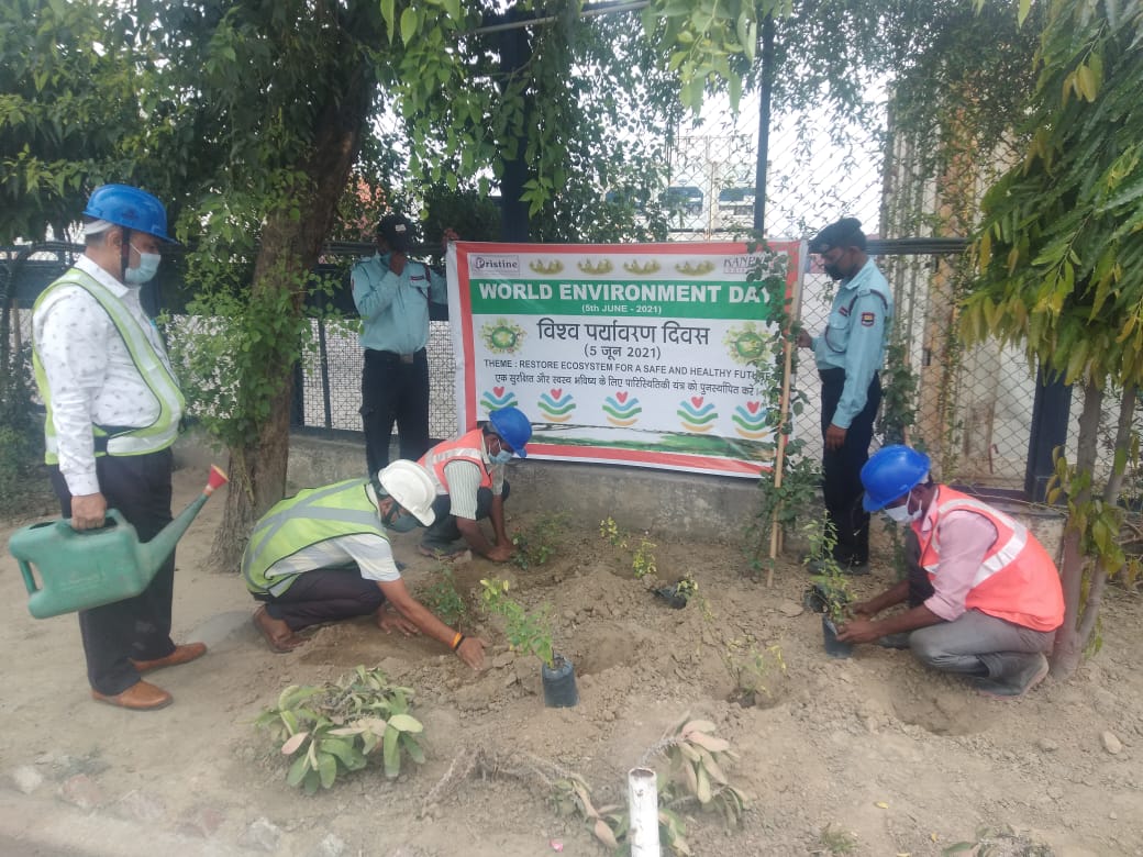 World Environment Day Celebration